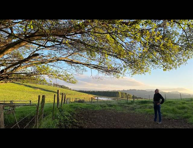 LAND FOR SALE IN MOUNT VERDE